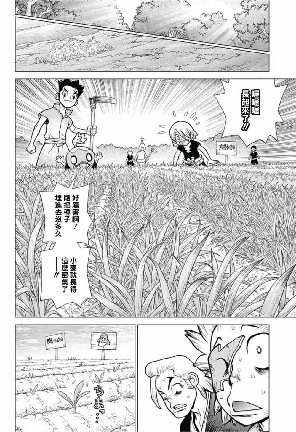 《石纪元（Dr.Stone）》漫画最新章节第91话免费下拉式在线观看章节第【12】张图片