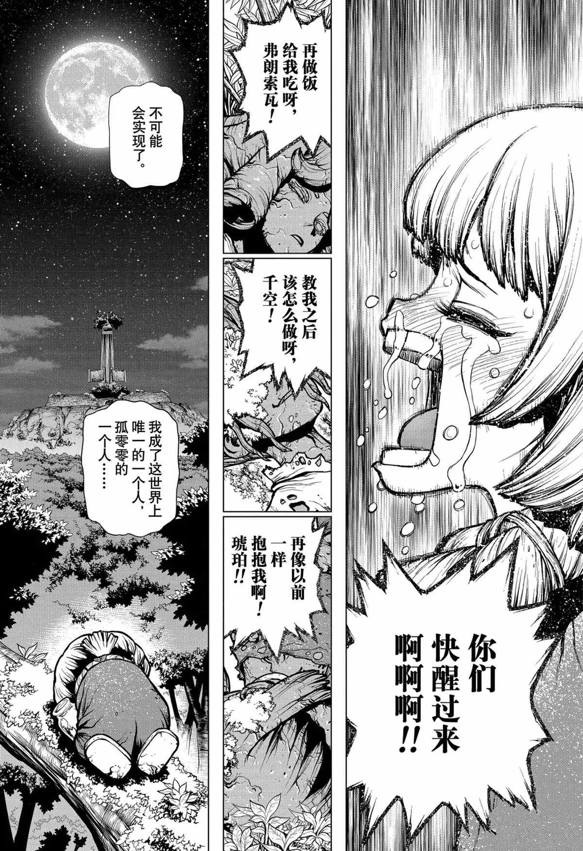 《石纪元（Dr.Stone）》漫画最新章节第194话 试看版免费下拉式在线观看章节第【14】张图片