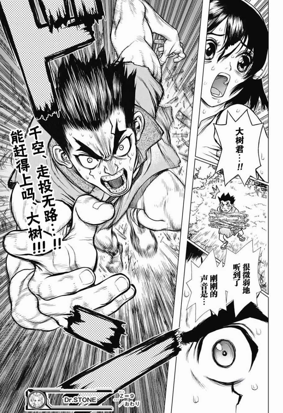 《石纪元（Dr.Stone）》漫画最新章节第9话免费下拉式在线观看章节第【19】张图片