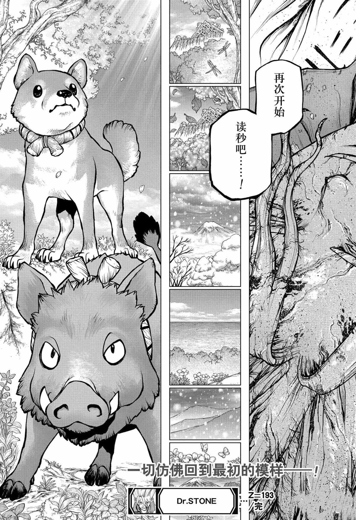 《石纪元（Dr.Stone）》漫画最新章节第193话 试看版免费下拉式在线观看章节第【19】张图片