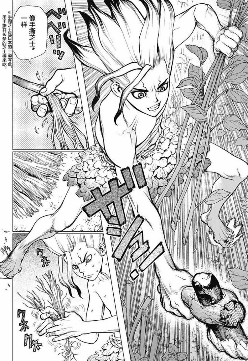 《石纪元（Dr.Stone）》漫画最新章节第13话免费下拉式在线观看章节第【13】张图片