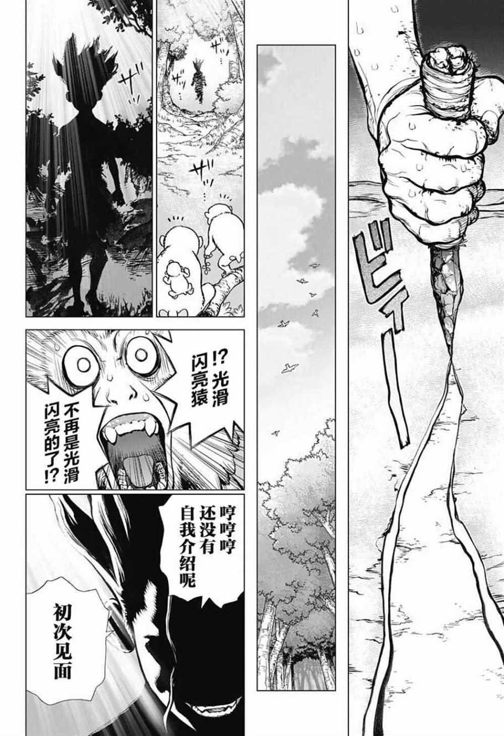 《石纪元（Dr.Stone）》漫画最新章节第13话免费下拉式在线观看章节第【18】张图片