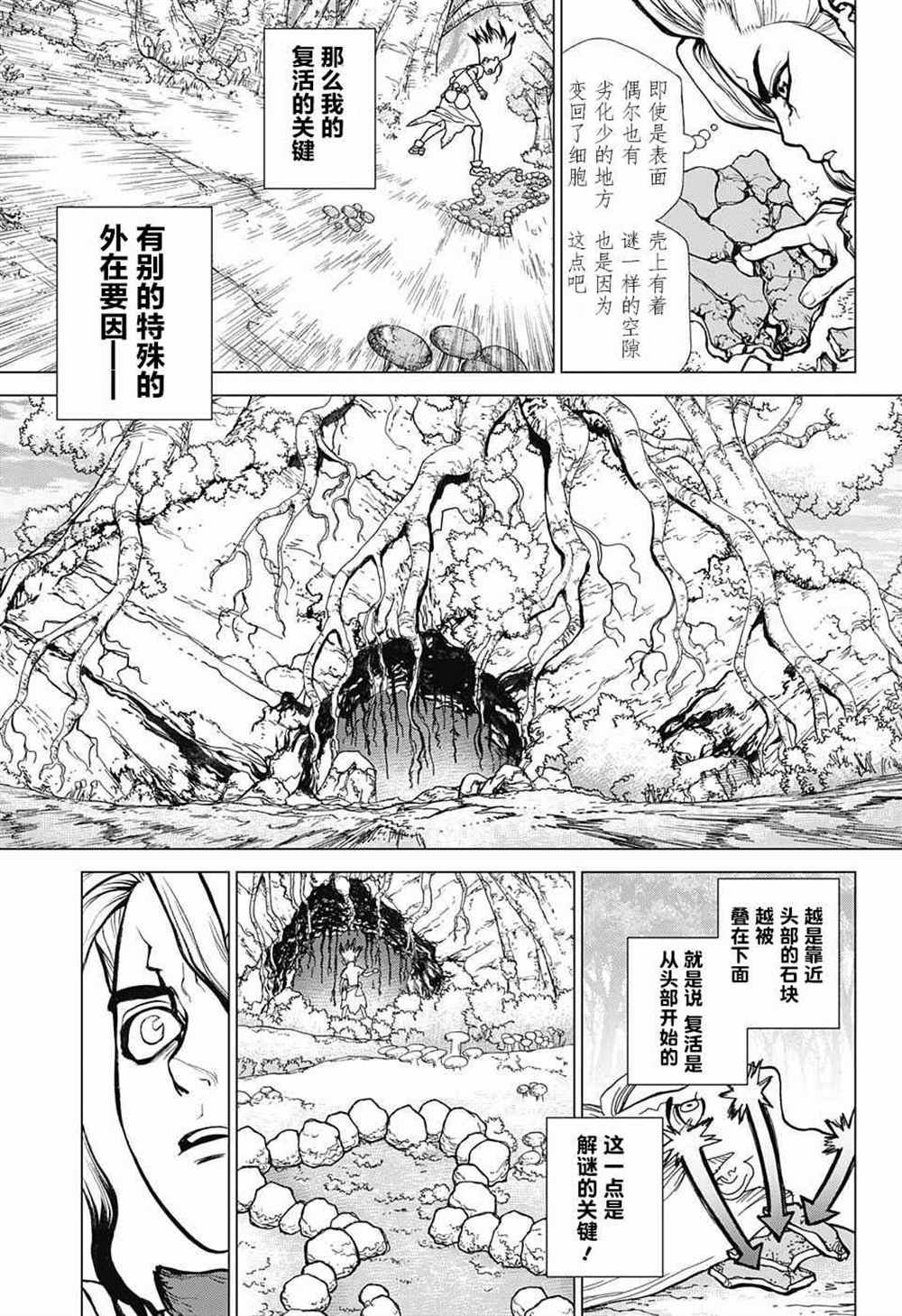 《石纪元（Dr.Stone）》漫画最新章节第14话免费下拉式在线观看章节第【8】张图片