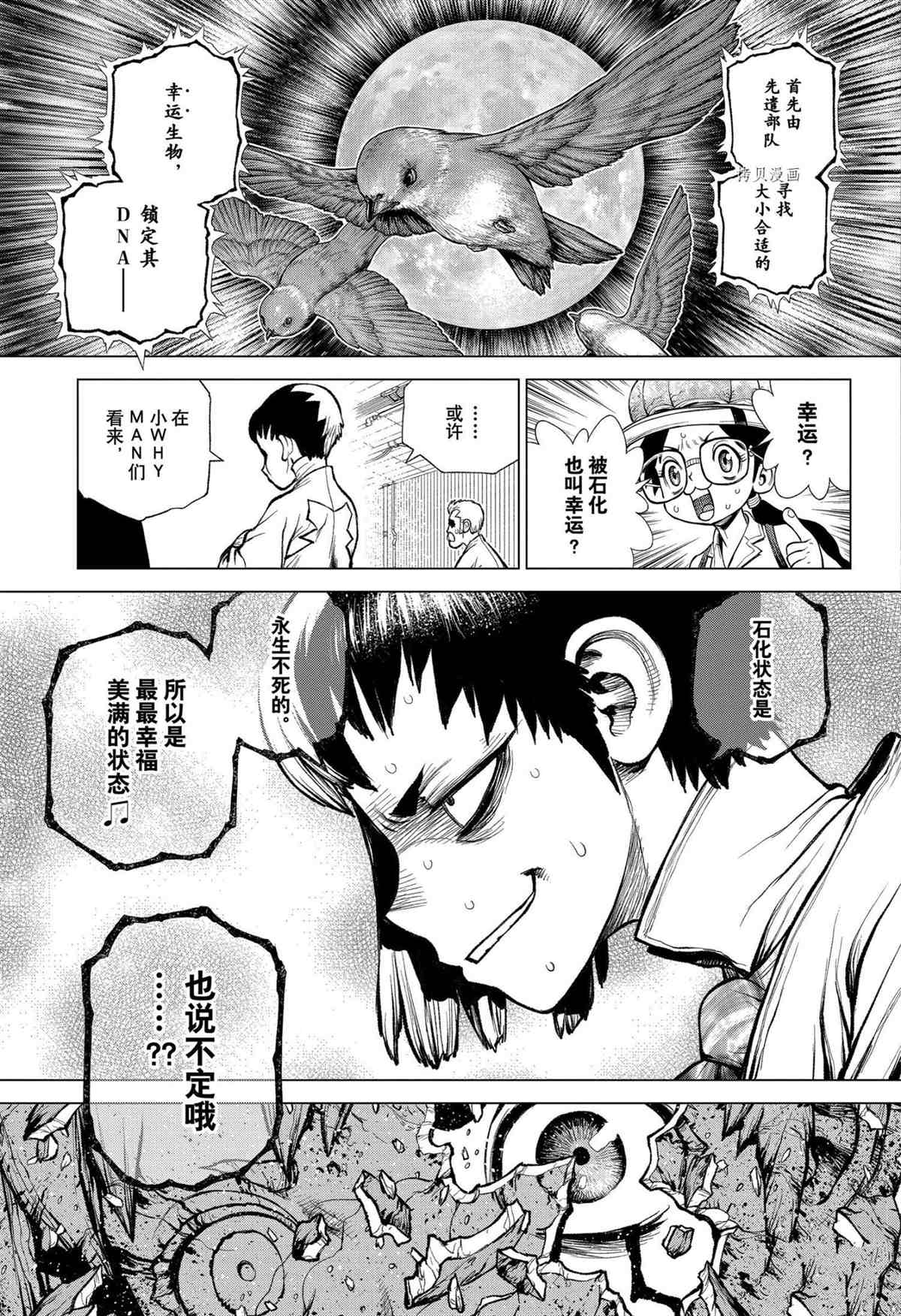 《石纪元（Dr.Stone）》漫画最新章节第229话 试看版免费下拉式在线观看章节第【5】张图片