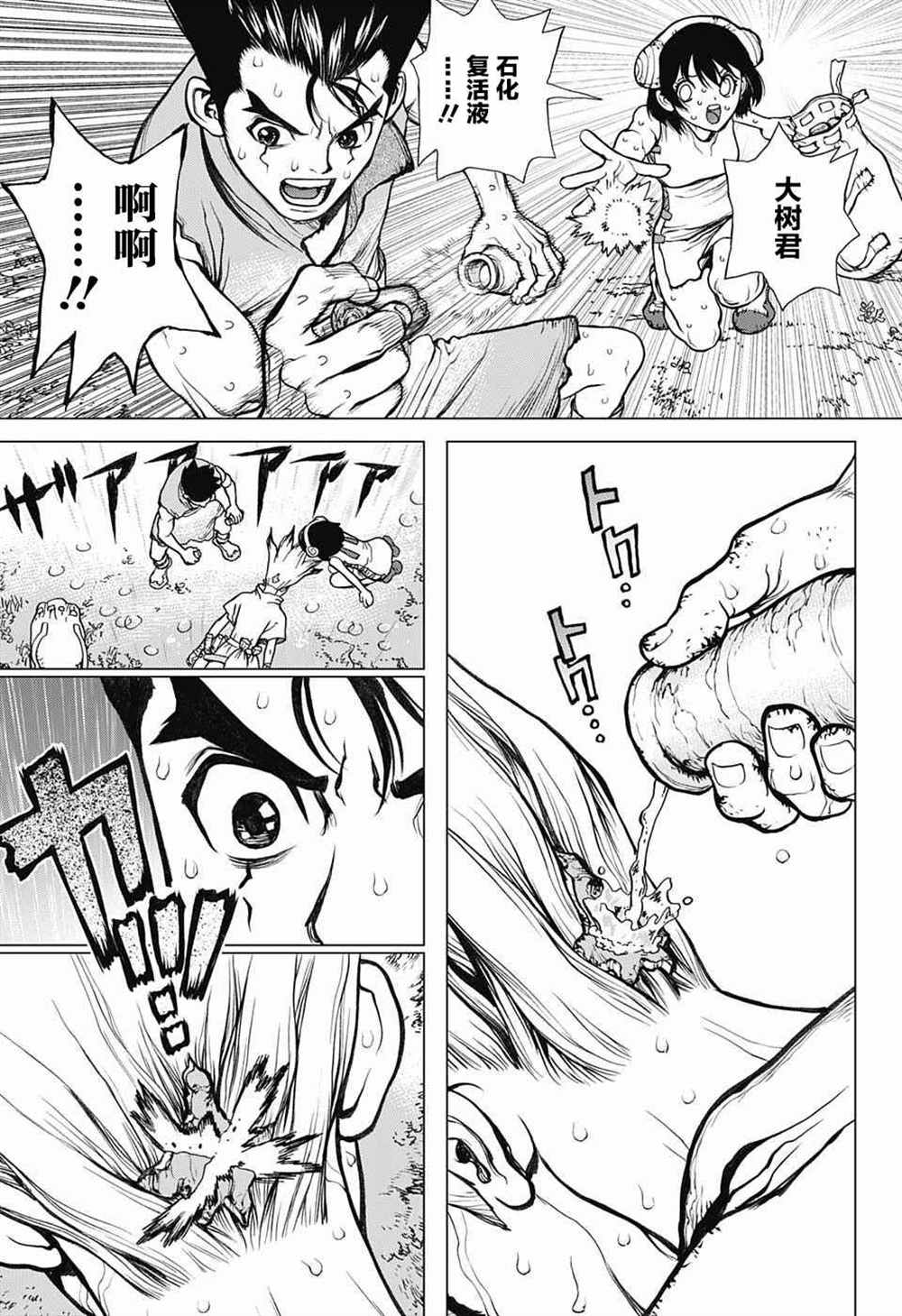 《石纪元（Dr.Stone）》漫画最新章节第12话免费下拉式在线观看章节第【13】张图片