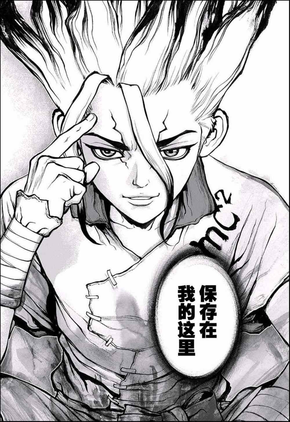 《石纪元（Dr.Stone）》漫画最新章节第19话免费下拉式在线观看章节第【17】张图片