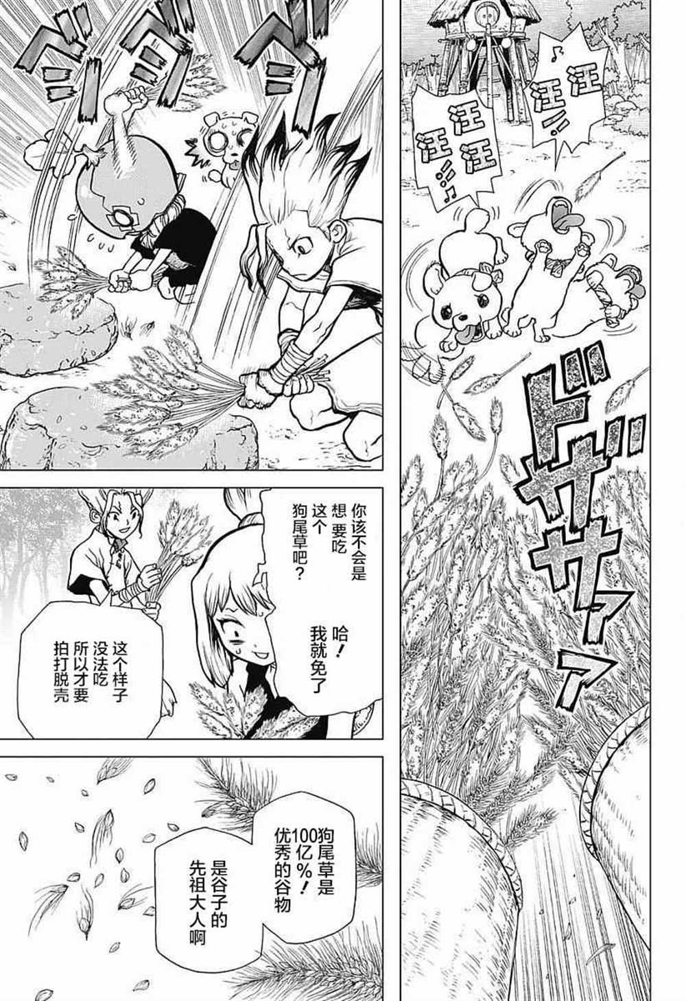 《石纪元（Dr.Stone）》漫画最新章节第22话免费下拉式在线观看章节第【11】张图片