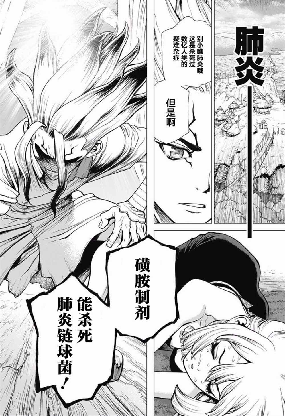 《石纪元（Dr.Stone）》漫画最新章节第41话免费下拉式在线观看章节第【10】张图片