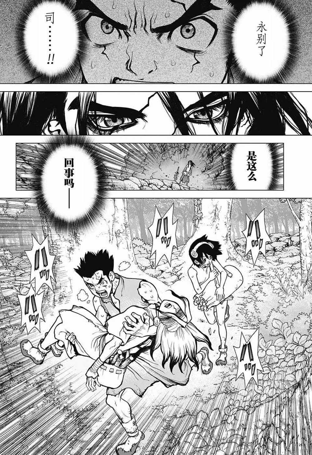 《石纪元（Dr.Stone）》漫画最新章节第12话免费下拉式在线观看章节第【4】张图片