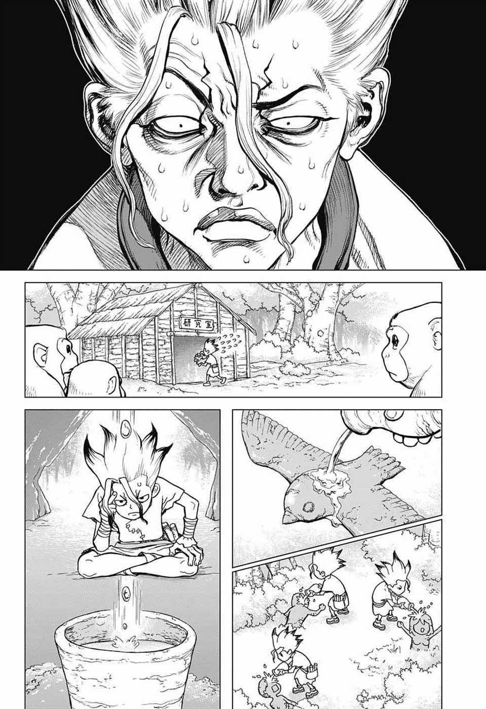 《石纪元（Dr.Stone）》漫画最新章节第14话免费下拉式在线观看章节第【11】张图片