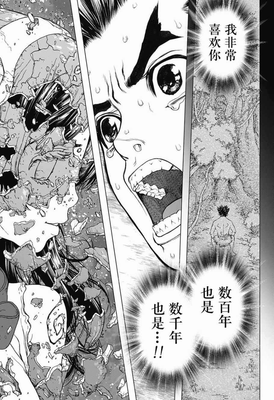 《石纪元（Dr.Stone）》漫画最新章节第5话免费下拉式在线观看章节第【14】张图片