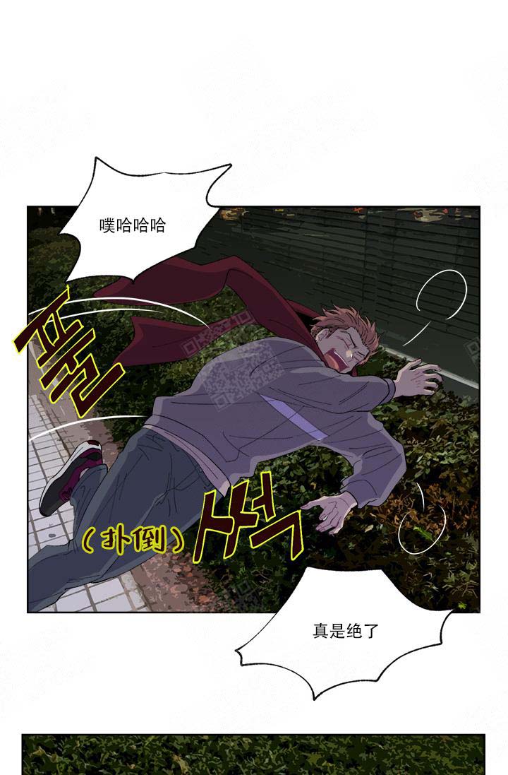 《浪漫箱子》漫画最新章节第9话免费下拉式在线观看章节第【1】张图片