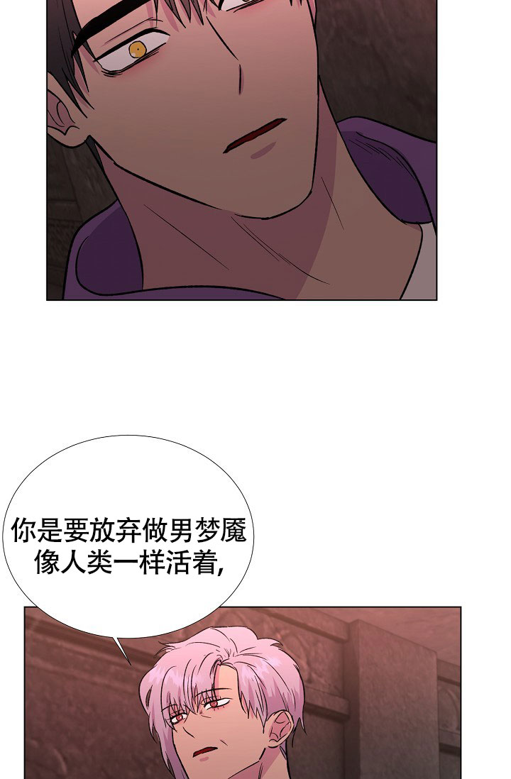 《羽下之物》漫画最新章节第68话免费下拉式在线观看章节第【30】张图片