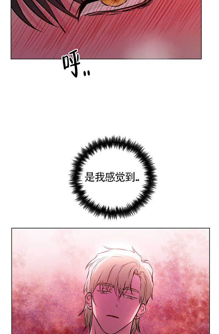 《羽下之物》漫画最新章节第33话免费下拉式在线观看章节第【14】张图片