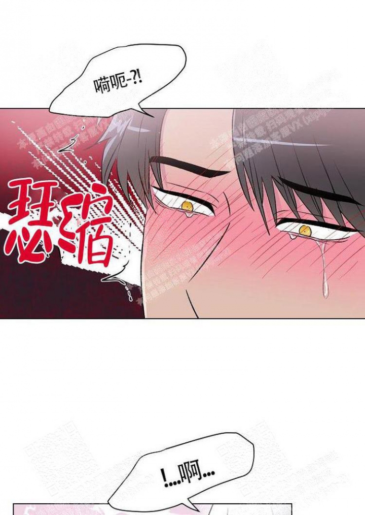 《羽下之物》漫画最新章节第11话免费下拉式在线观看章节第【6】张图片