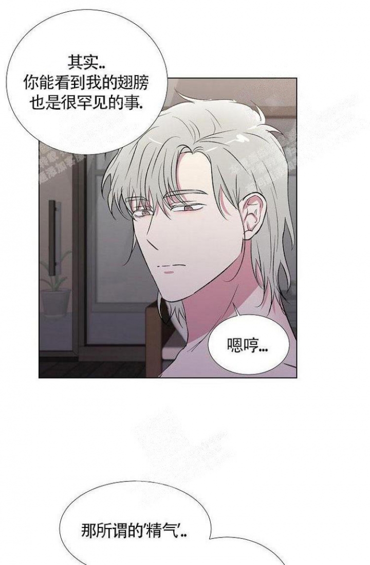 《羽下之物》漫画最新章节第17话免费下拉式在线观看章节第【6】张图片