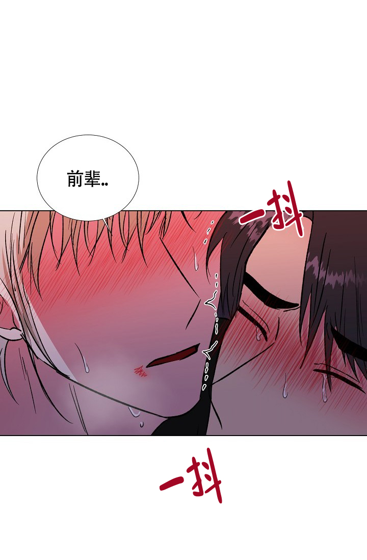 《羽下之物》漫画最新章节第56话免费下拉式在线观看章节第【5】张图片