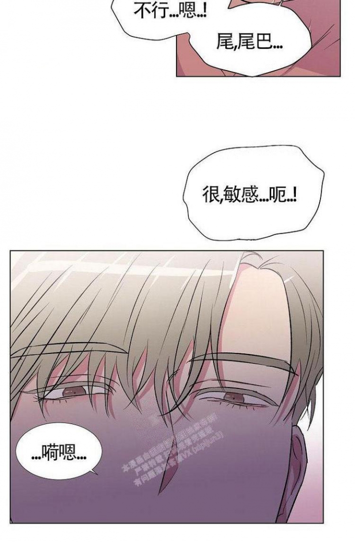 《羽下之物》漫画最新章节第15话免费下拉式在线观看章节第【11】张图片