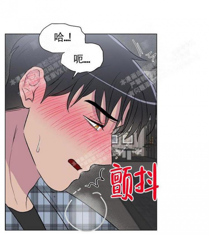 《羽下之物》漫画最新章节第10话免费下拉式在线观看章节第【11】张图片