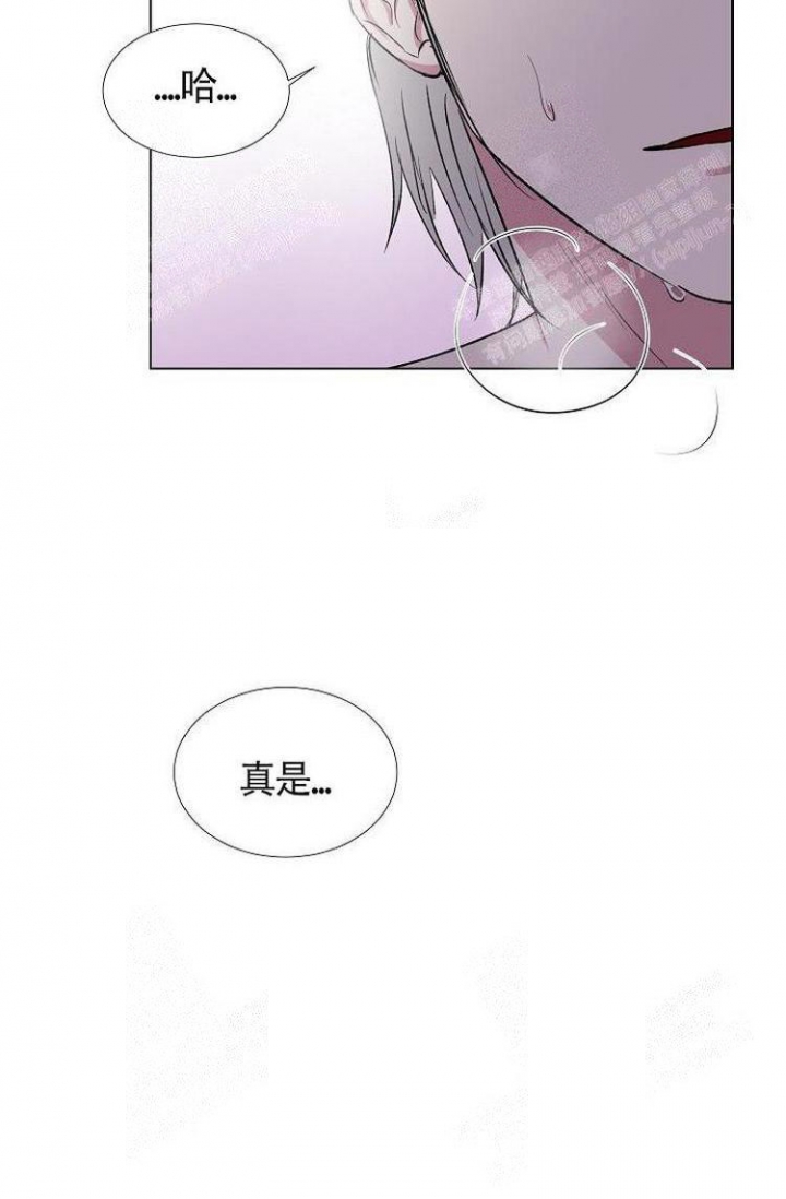 《羽下之物》漫画最新章节第11话免费下拉式在线观看章节第【30】张图片