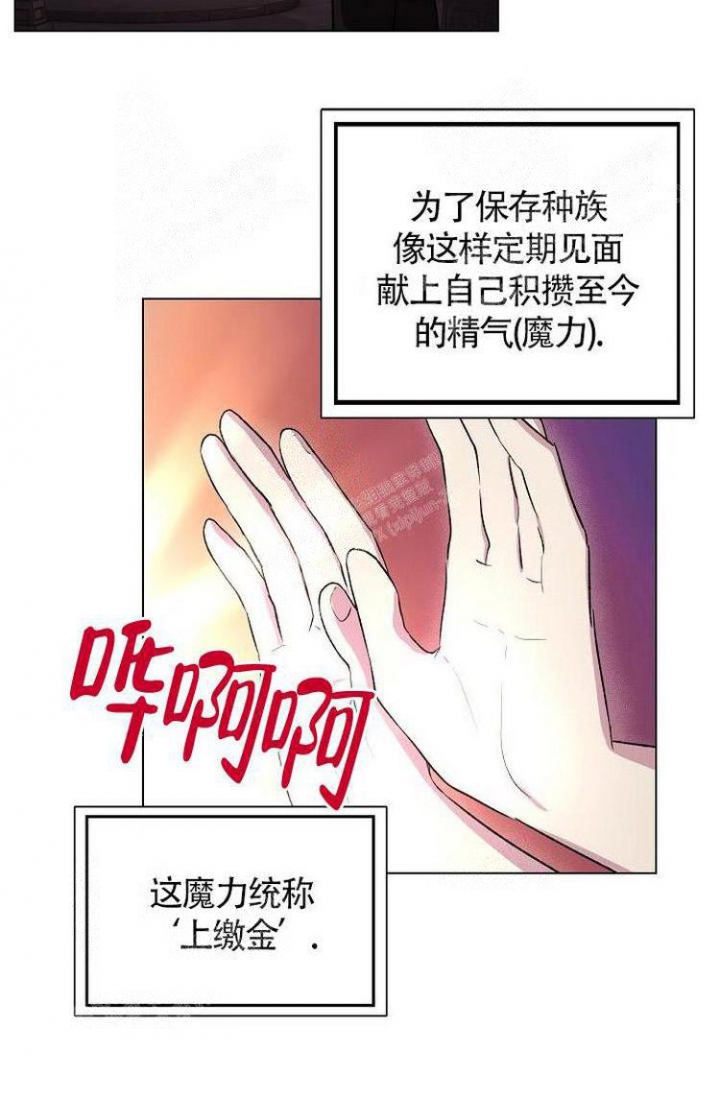 《羽下之物》漫画最新章节第7话免费下拉式在线观看章节第【9】张图片