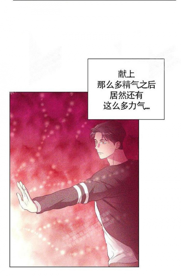 《羽下之物》漫画最新章节第19话免费下拉式在线观看章节第【5】张图片