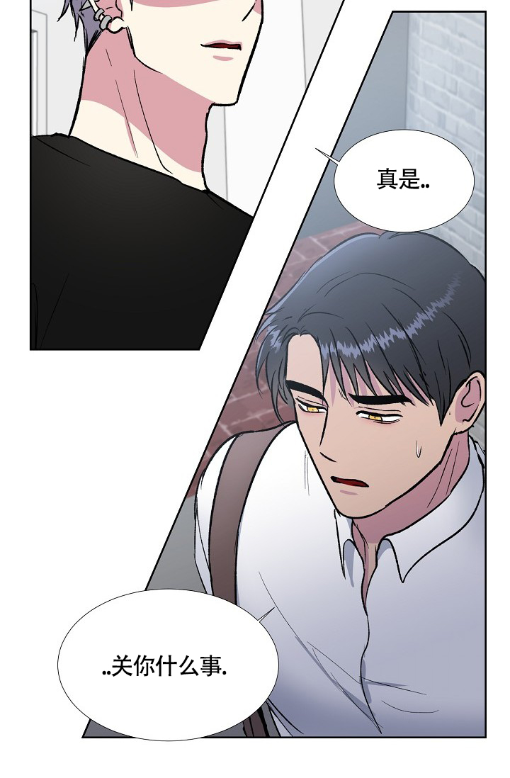 《羽下之物》漫画最新章节第44话免费下拉式在线观看章节第【34】张图片