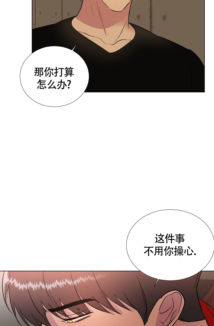 《羽下之物》漫画最新章节第54话免费下拉式在线观看章节第【2】张图片