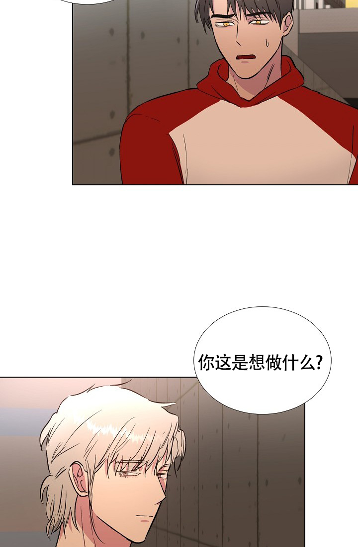 《羽下之物》漫画最新章节第53话免费下拉式在线观看章节第【8】张图片