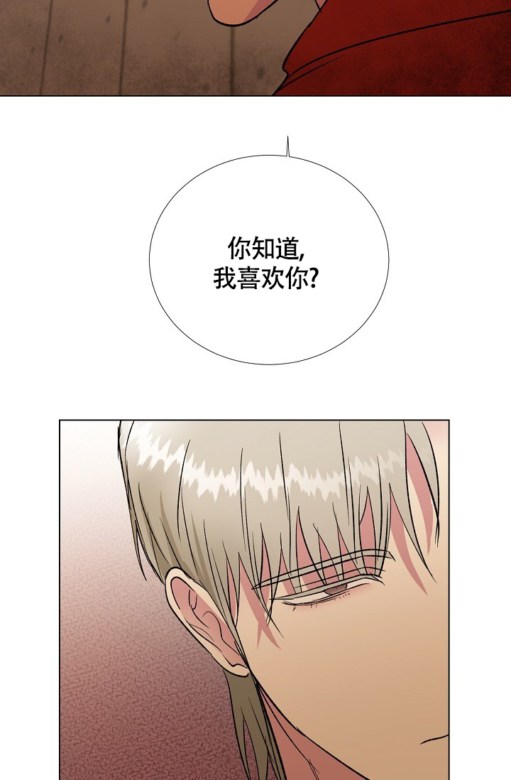 《羽下之物》漫画最新章节第53话免费下拉式在线观看章节第【19】张图片