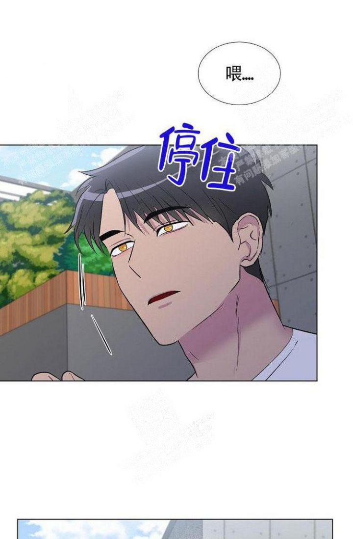 《羽下之物》漫画最新章节第19话免费下拉式在线观看章节第【12】张图片