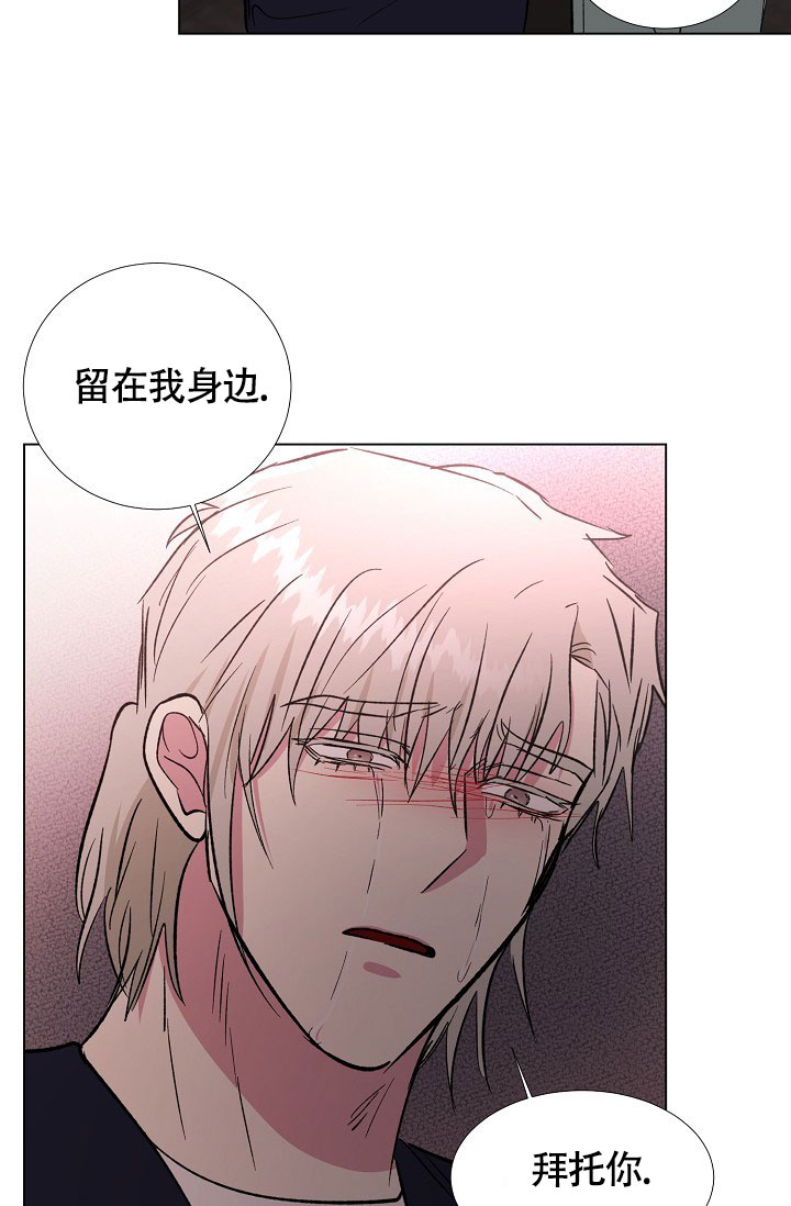 《羽下之物》漫画最新章节第74话免费下拉式在线观看章节第【39】张图片