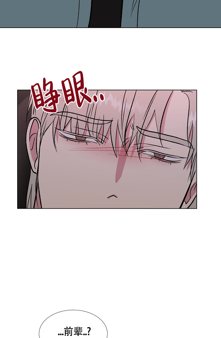 《羽下之物》漫画最新章节第72话免费下拉式在线观看章节第【12】张图片