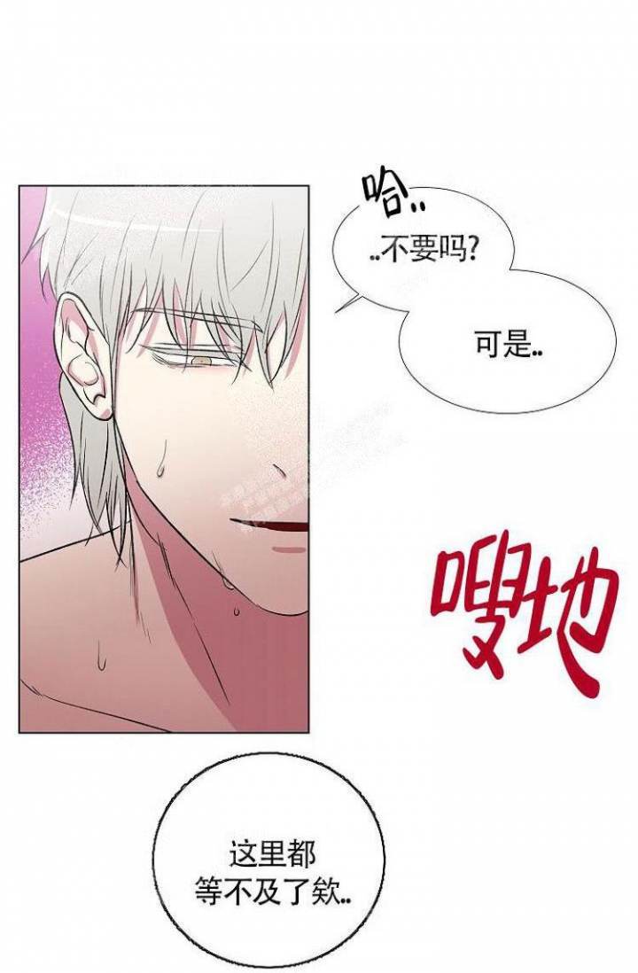 《羽下之物》漫画最新章节第11话免费下拉式在线观看章节第【5】张图片