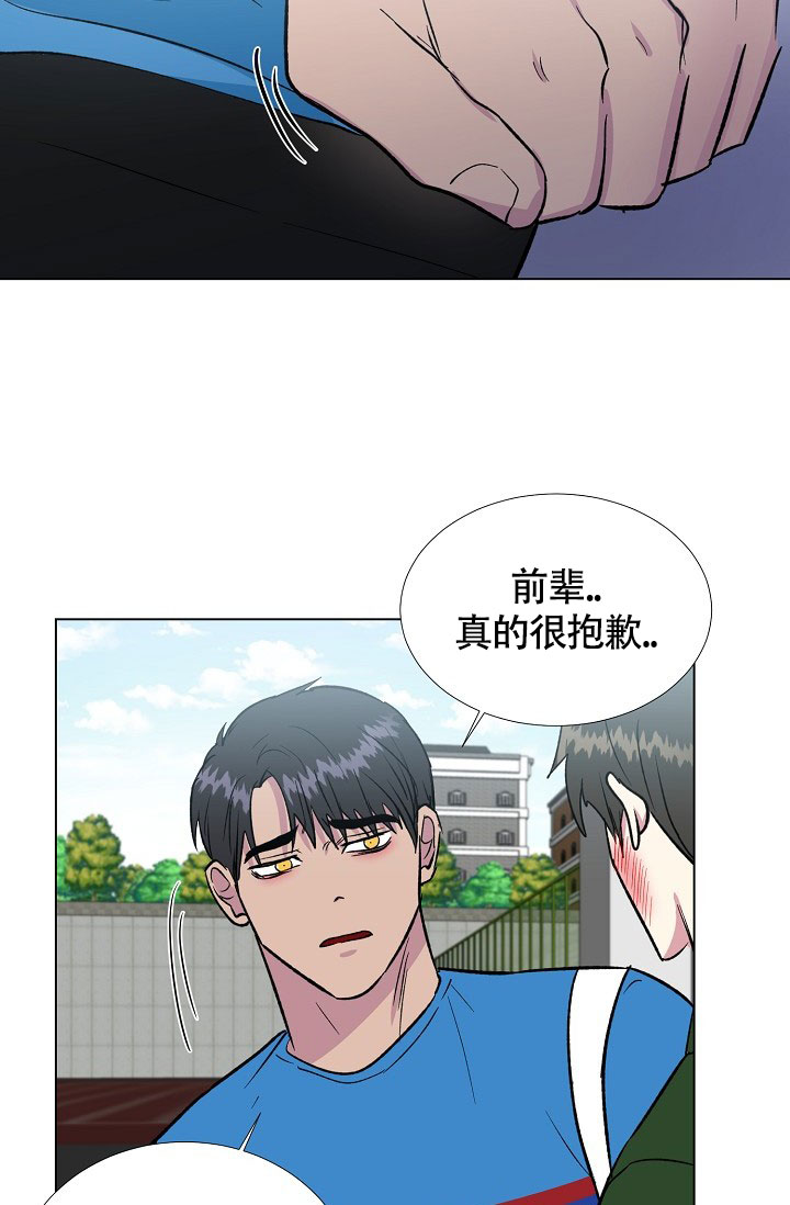 《羽下之物》漫画最新章节第63话免费下拉式在线观看章节第【33】张图片