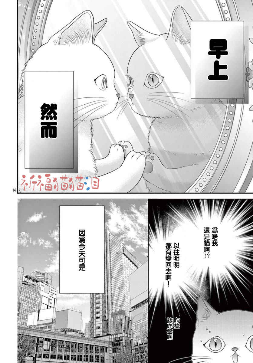 《快来宠我嘛！我可是猫猫》漫画最新章节第4话免费下拉式在线观看章节第【14】张图片