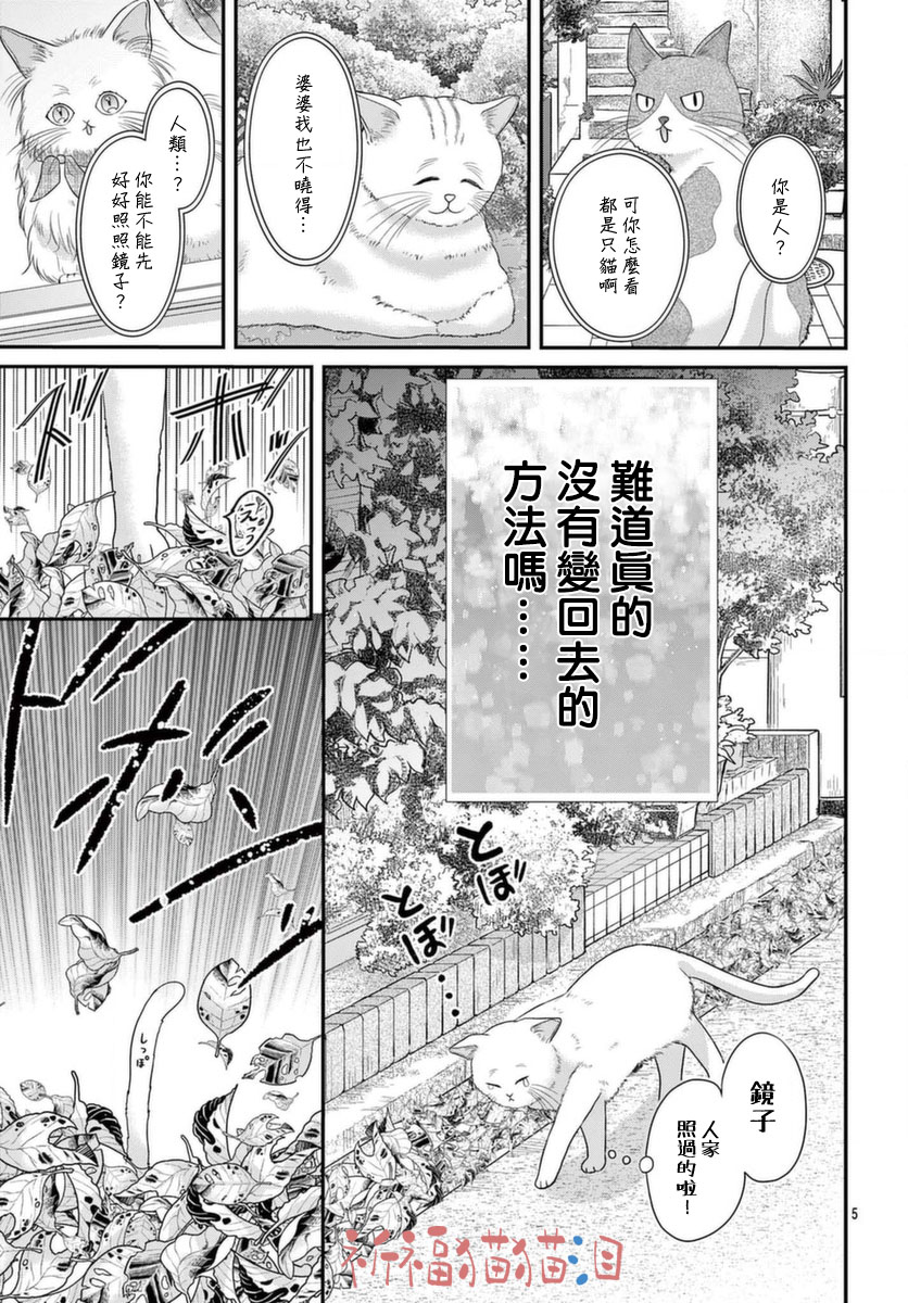 《快来宠我嘛！我可是猫猫》漫画最新章节第5话免费下拉式在线观看章节第【5】张图片