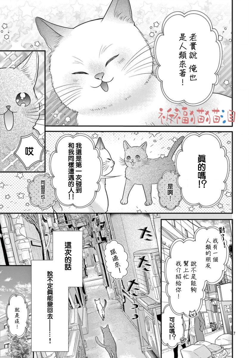 《快来宠我嘛！我可是猫猫》漫画最新章节第5话免费下拉式在线观看章节第【7】张图片