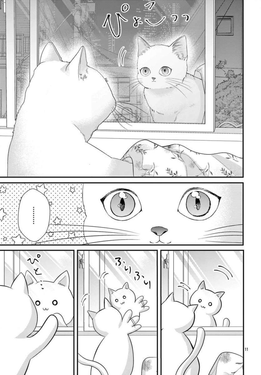 《快来宠我嘛！我可是猫猫》漫画最新章节第1话免费下拉式在线观看章节第【12】张图片