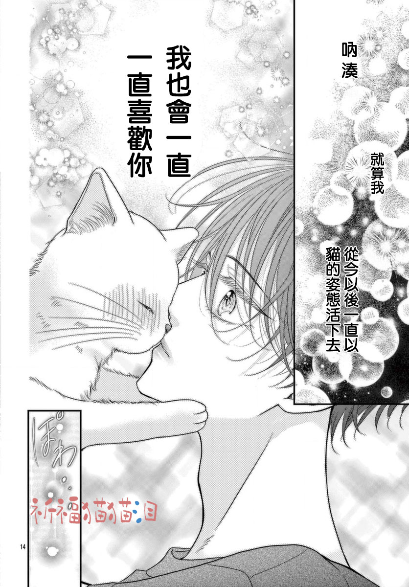 《快来宠我嘛！我可是猫猫》漫画最新章节第5话免费下拉式在线观看章节第【14】张图片