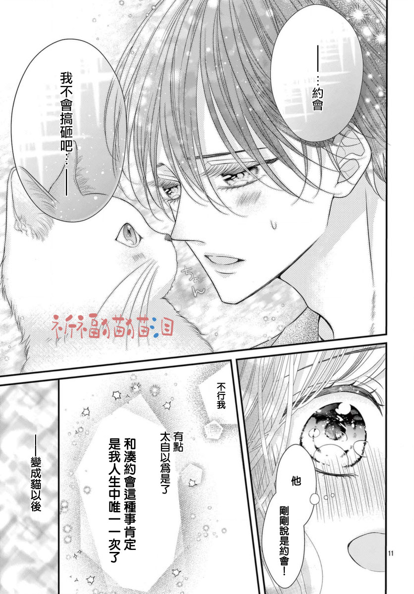 《快来宠我嘛！我可是猫猫》漫画最新章节第4话免费下拉式在线观看章节第【11】张图片