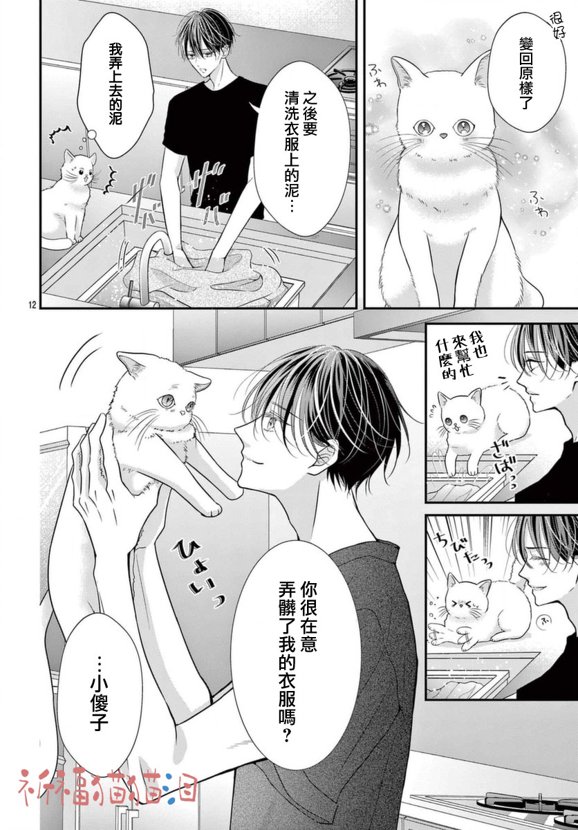 《快来宠我嘛！我可是猫猫》漫画最新章节第5话免费下拉式在线观看章节第【12】张图片