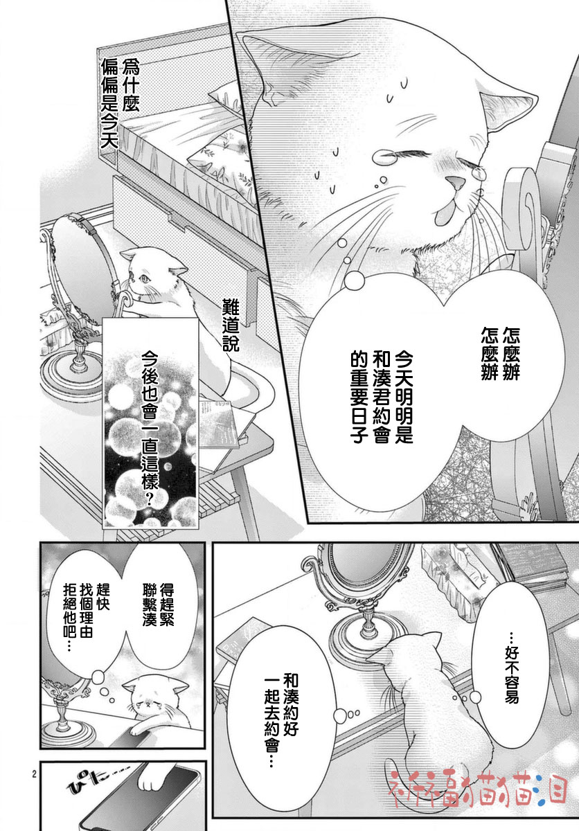 《快来宠我嘛！我可是猫猫》漫画最新章节第5话免费下拉式在线观看章节第【2】张图片