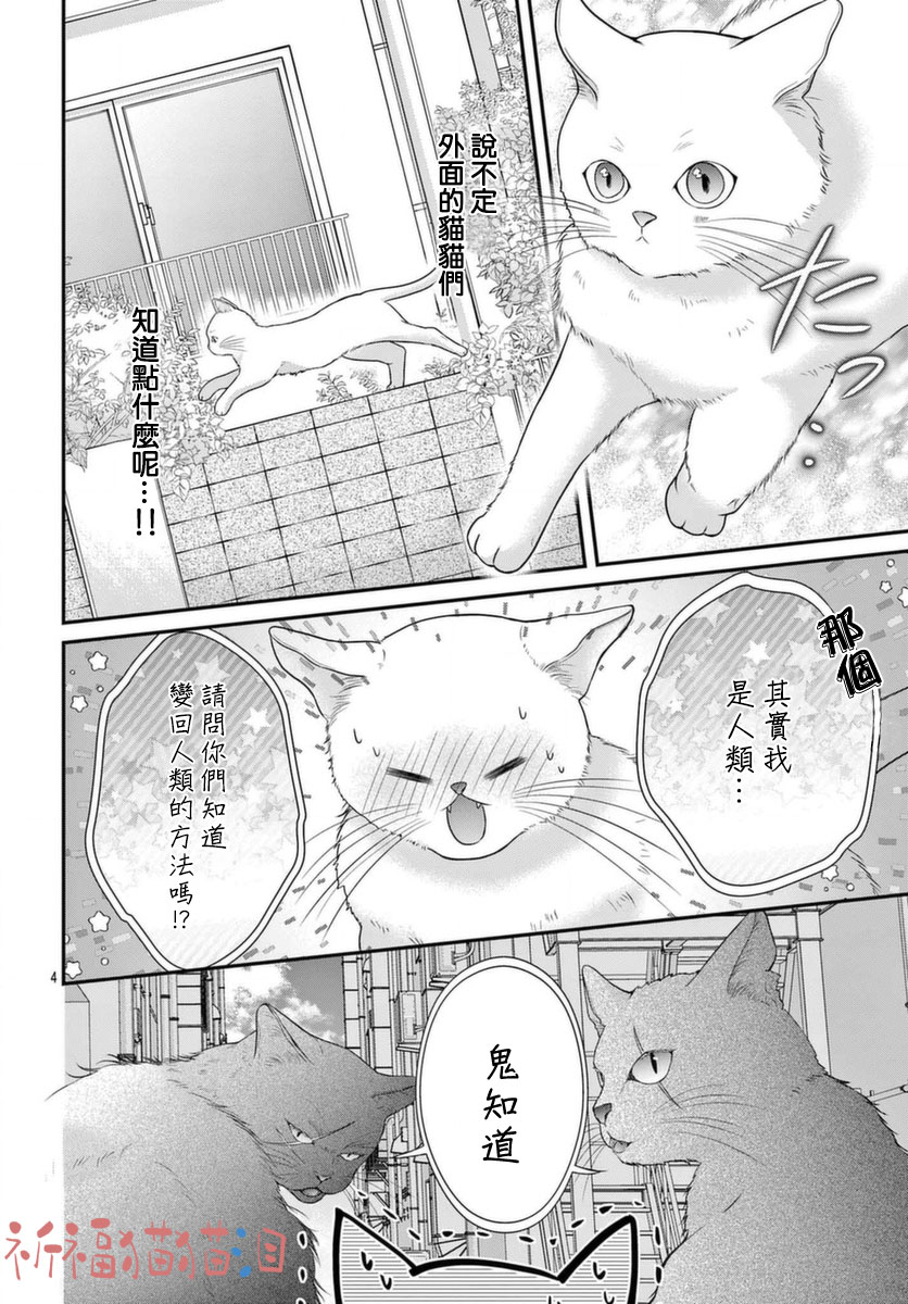 《快来宠我嘛！我可是猫猫》漫画最新章节第5话免费下拉式在线观看章节第【4】张图片