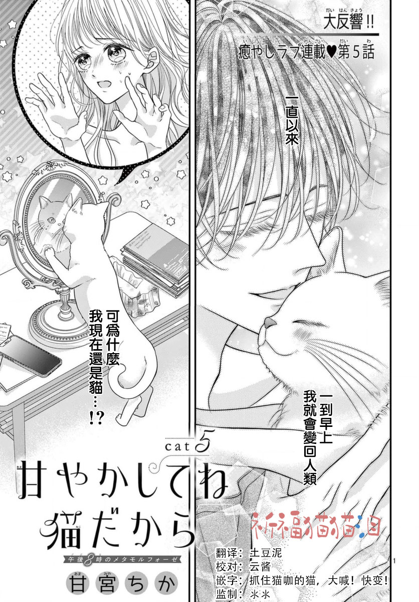 《快来宠我嘛！我可是猫猫》漫画最新章节第5话免费下拉式在线观看章节第【1】张图片