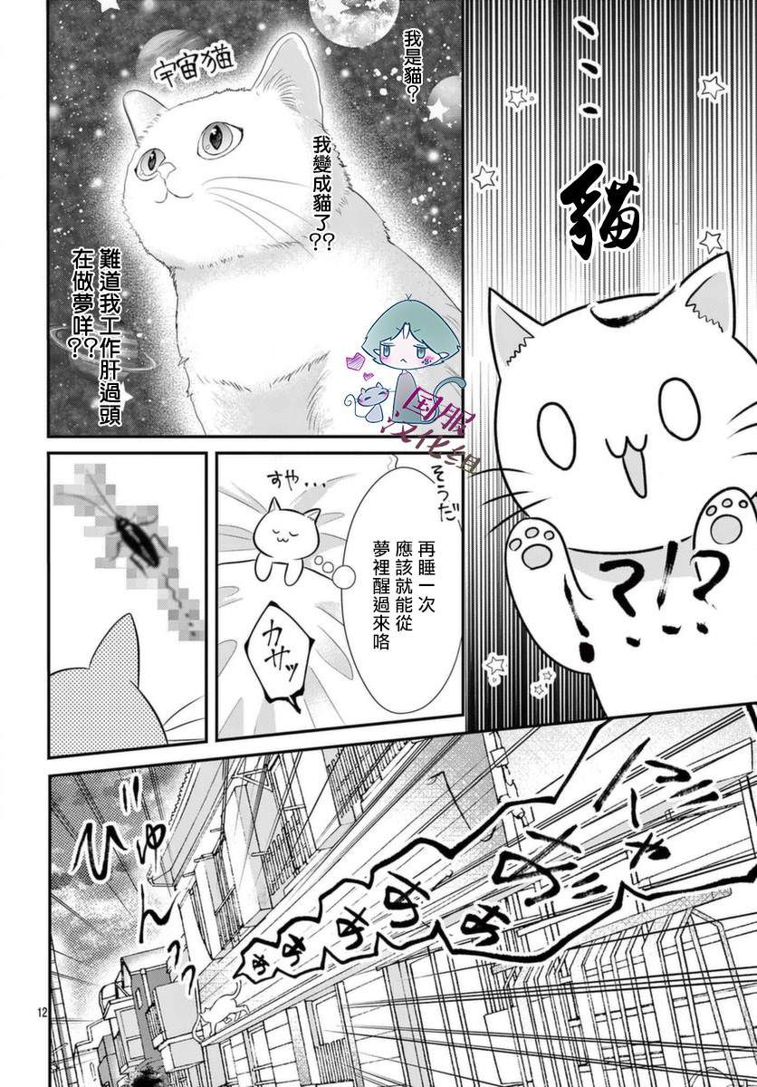 《快来宠我嘛！我可是猫猫》漫画最新章节第1话免费下拉式在线观看章节第【13】张图片