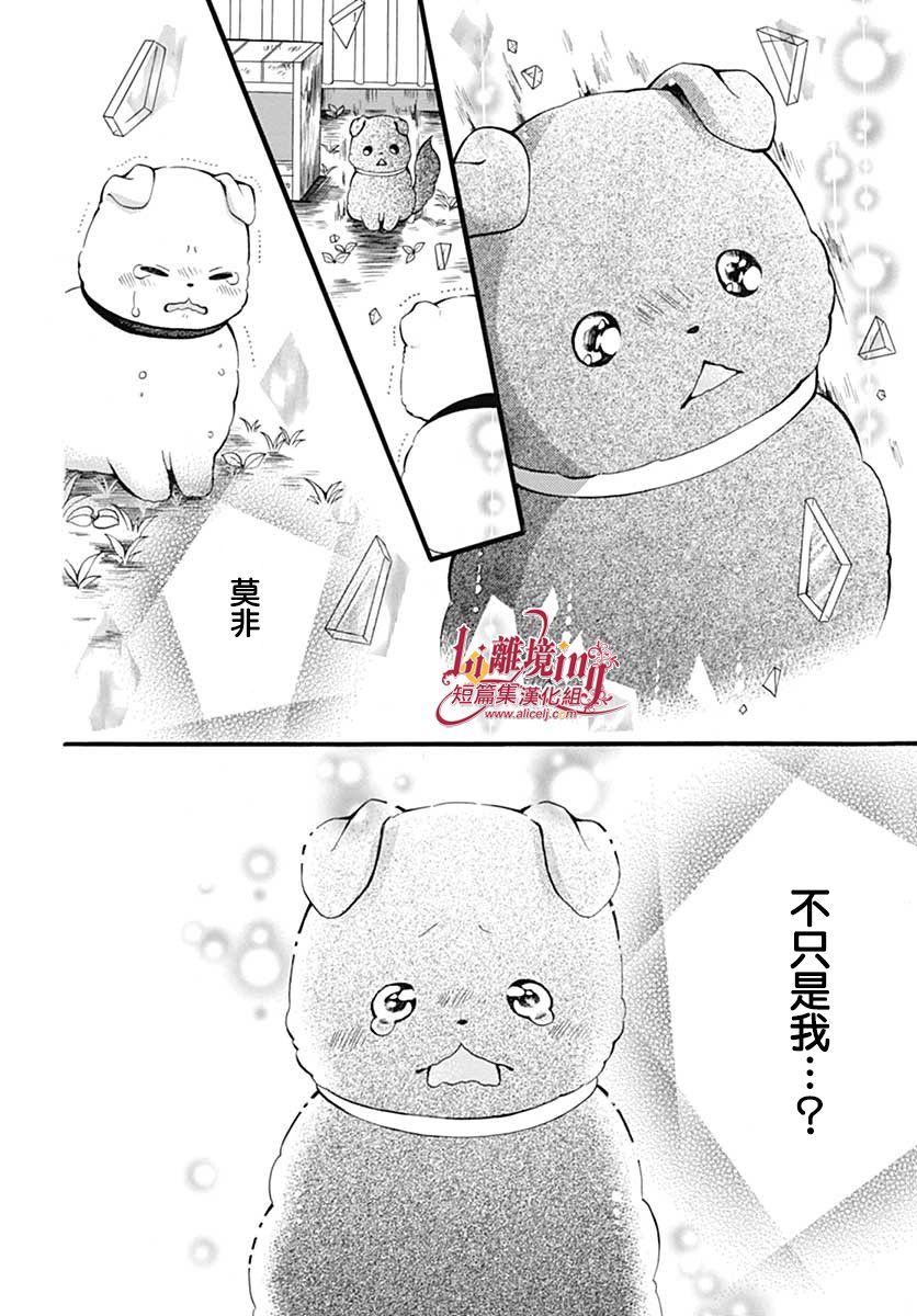 《小白与小黑的一花》漫画最新章节第1话免费下拉式在线观看章节第【24】张图片