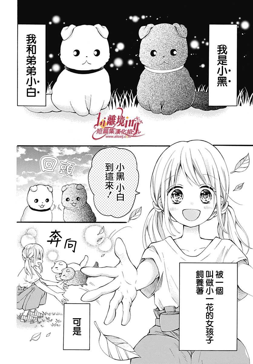 《小白与小黑的一花》漫画最新章节第1话免费下拉式在线观看章节第【2】张图片