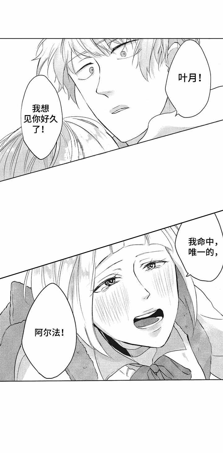 《你好，我的命中伴侣》漫画最新章节第9话免费下拉式在线观看章节第【11】张图片