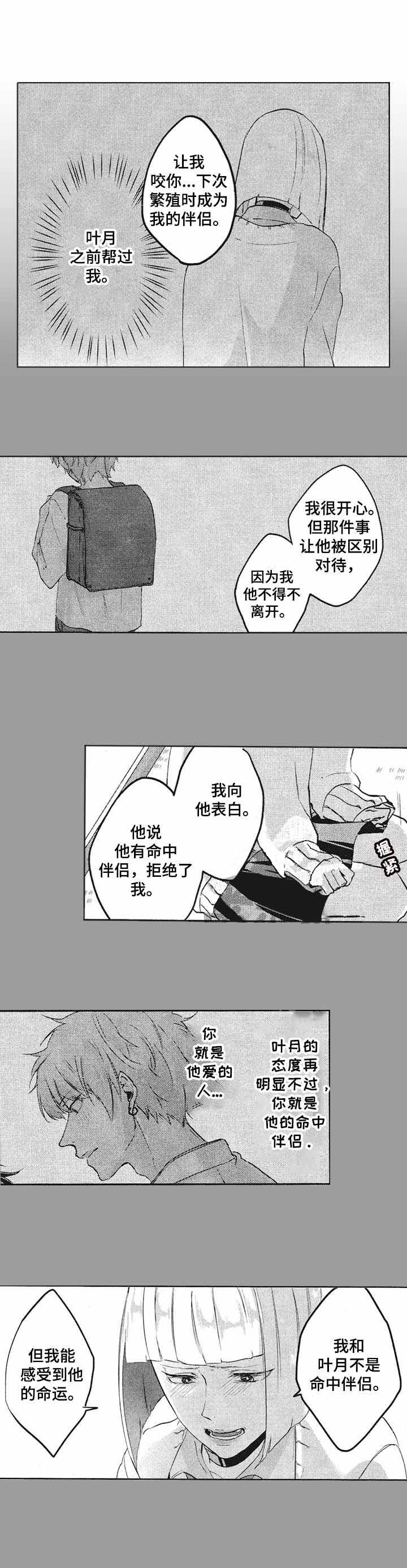 《你好，我的命中伴侣》漫画最新章节第13话免费下拉式在线观看章节第【6】张图片